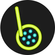 808钱包app官网入口